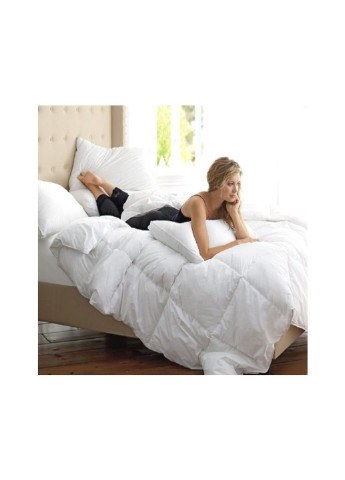 Одеяло пуховое Raffaello 053 зима+ 200x220 см (2200000018168) Mirson (254079585)