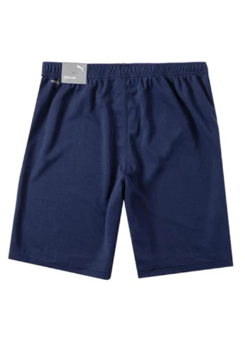 Шорты 704942-06 Puma teamRISE Short (328031939)
