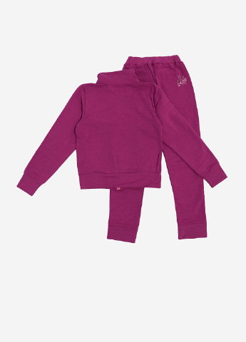 Фиолетовый демисезонный костюм (толстовка, брюки) брючный Фламинго