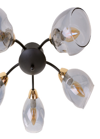 Люстра LK-718S/5 E14 BK+FG Brille (251891792)