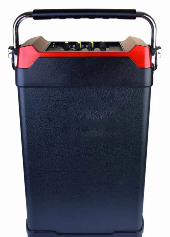 Автономная акустическая система NS-1389 чемодан 24Вт, USB, SD, FM радио, Bluetooth, 1 радиомикрофон, ДУ черная (lp-84434) XPRO (253517599)