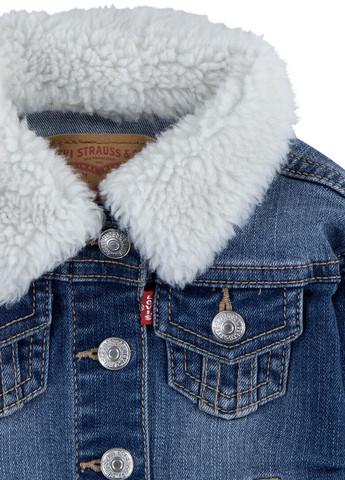 Синий демисезонный комплект (куртка, лонгслив, джинсы) Levi's