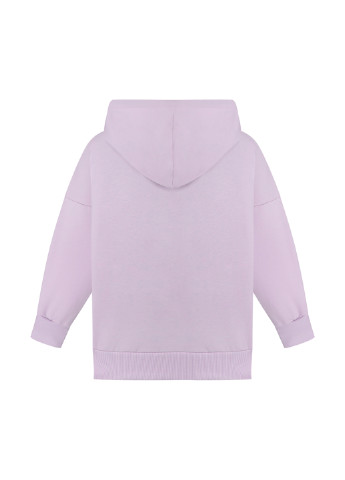 Сиреневый демисезонный костюм (худи, брюки) брючный Sasha