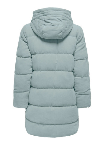 М'ятна зимня куртка Only
