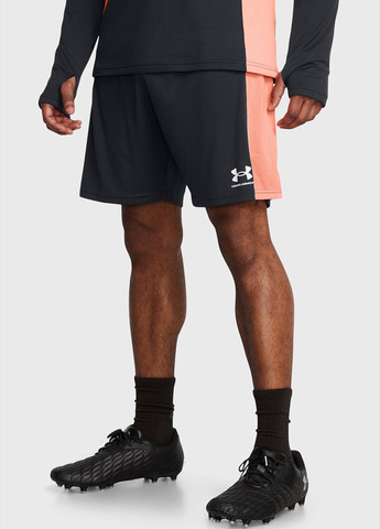 Шорты Under Armour (302807846)