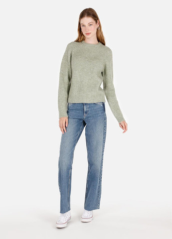 Фісташковий демісезонний джемпер джемпер Colin's