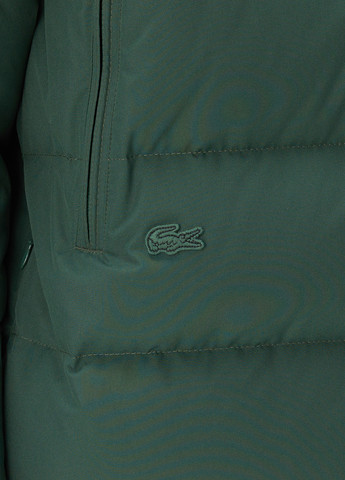 Зеленая зимняя куртка Lacoste