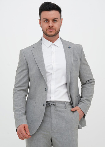 Сірий демісезонний костюм (піджак, штани) брючний Trend Collection