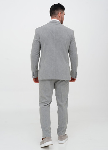 Сірий демісезонний костюм (піджак, штани) брючний Trend Collection