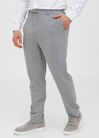 Сірий демісезонний костюм (піджак, штани) брючний Trend Collection