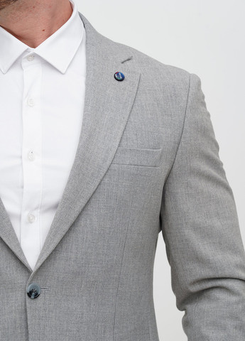 Сірий демісезонний костюм (піджак, штани) брючний Trend Collection