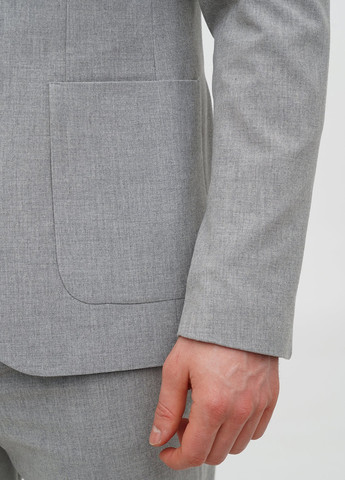 Сірий демісезонний костюм (піджак, штани) брючний Trend Collection