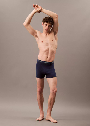 Трусы (3 шт.) Calvin Klein (309055483)