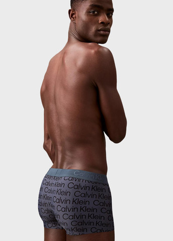 Трусы Calvin Klein (366431635)