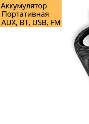Портативна колонка BR19 5Вт USB, AUX, FM, Bluetooth чорна (ЦУ-00034638) XPRO (254274234)