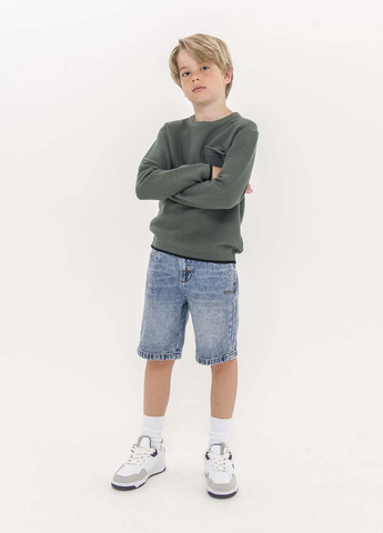 Сіро-зелений демісезонний джемпер джемпер Piazza Italia