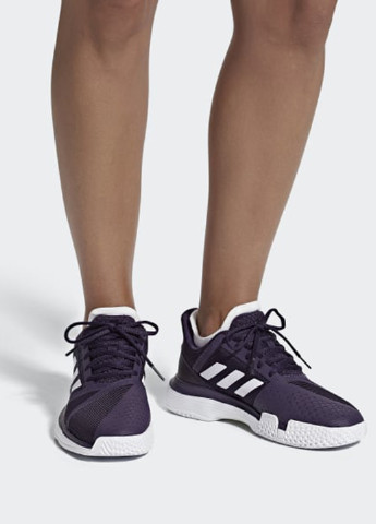 Фіолетові всесезонні кросівки adidas CourtJam Bounce