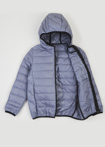 Сіра демісезонна куртка Ляля