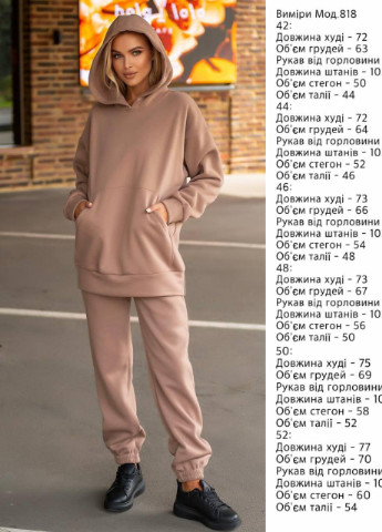 Жіночий спортивний костюм теплий на флісі ПУДРА XS S M L XL 2XL(42 44 46 48 50 52) подовжене худи OVERSIZE No Brand (254565566)