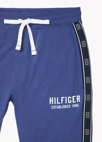 Штани Tommy Hilfiger (254204319)
