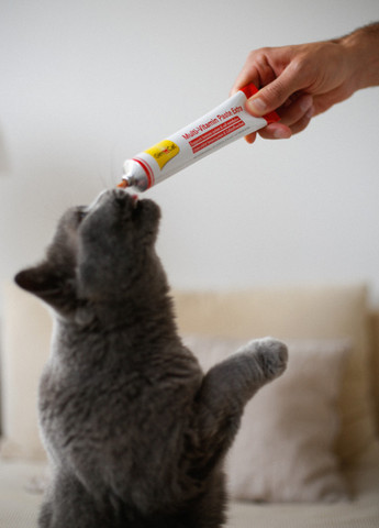 Мультивітамінна паста Extra, 50 г GimCat (251339075)