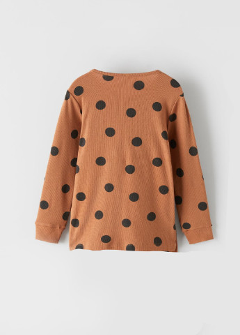 Коричнева всесезон жіночий лонгслів Zara