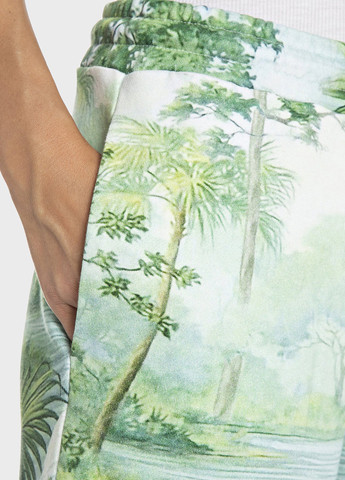 Шорти Replay (306993312)