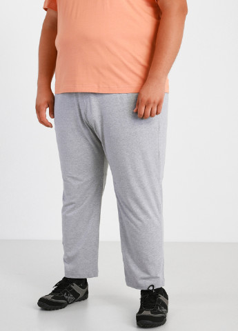 Светло-серые спортивные демисезонные зауженные брюки Promin