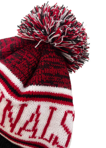 Шапка Zephyr (304549666)