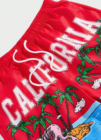 Шорты SHEIN (344466361)