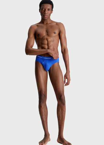 Труси (3 шт.) Calvin Klein (344461742)