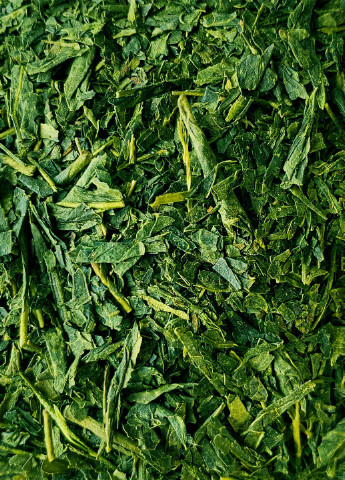 "Сенча Асамусі". Японский зелений чай. Зіп-пак, 50 грам. TEA&TRAVEL (230144258)