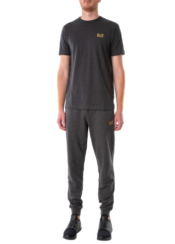 Серая футболка ARMANI EA7