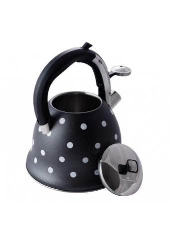 Чайник із свистком KM-1099 2.5 л Kamille (254702940)