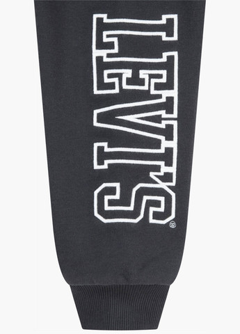 Серые спортивные демисезонные брюки джоггеры Levi's