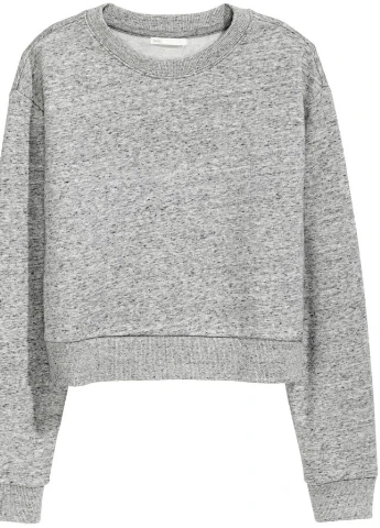 Сірий короткий світшот h & m H&M меланж (222035648)
