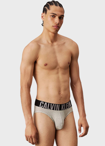 Трусы (3 шт.) Calvin Klein (345753867)