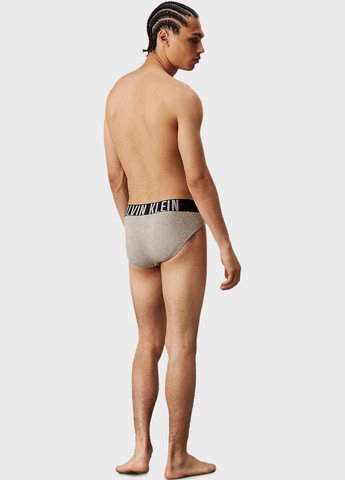 Трусы (3 шт.) Calvin Klein (345753867)