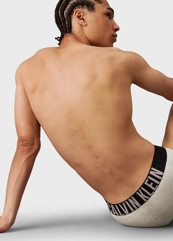 Трусы (3 шт.) Calvin Klein (345753867)