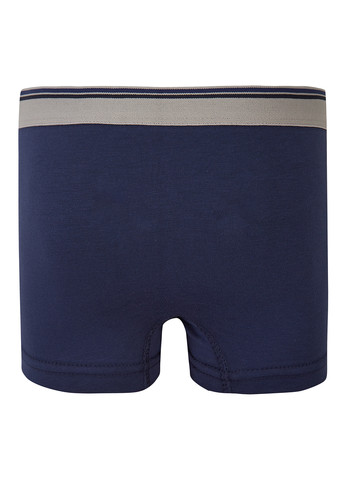 Труси Фламинго (314603319)