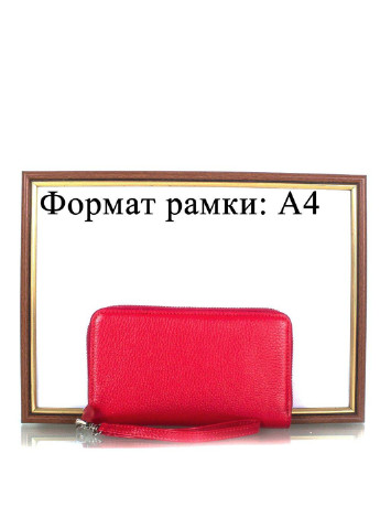Женский кожаный кошелек 18х10,5х2 см Canpellini (255709527)
