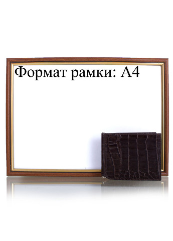 Мужской кожаный зажим для купюр 11х8,5х0,5 см Canpellini (195771749)