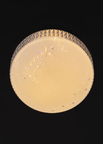 W-631/20W NW світильник настінно-стельовий Brille (251904445)