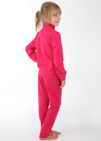 Малиновый демисезонный костюм (кофта, брюки) брючный Фламинго