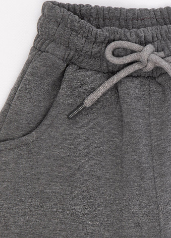 Темно-серые спортивные зимние брюки джоггеры Joi Kids