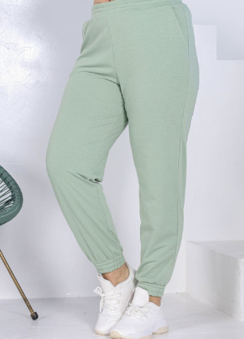Серо-зеленые спортивные демисезонные джоггеры брюки Charm Collection