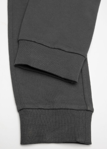 Темно-серые спортивные демисезонные брюки зауженные, джоггеры Coccodrillo