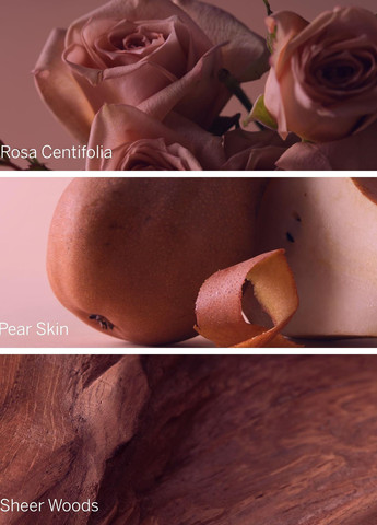 Набір Bare Rose (лосьон, міст) Victoria's Secret (321974727)