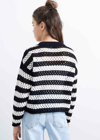 Черно-белый демисезонный джемпер джемпер C&A