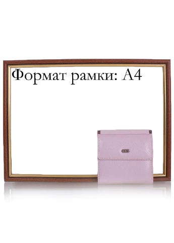 Женский кожаный кошелек 10,5х10,5х1,5 см Desisan (195538844)